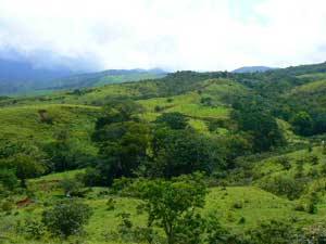 A vista from the lots.