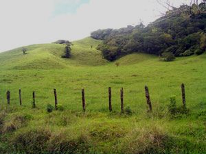 The lot has easy access from the Silencio-Tilaran road.