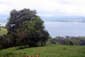 A view of the lake.