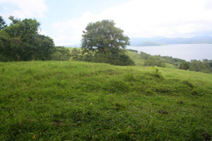 The expansive lot has plenty of room for buildings.