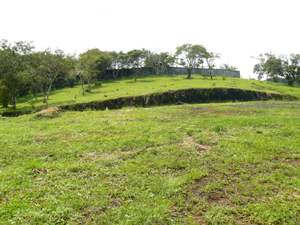 4 lots are above the central road and 4 are below.