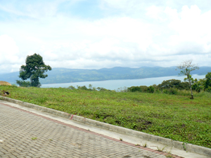 The 8 lots flank both sides of a paved road. 