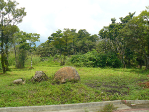 Lot 1 is fairly level with nice trees and a lake view.