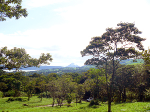 The volcano as seen from Lot 6