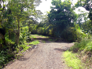 The lane continues past the lots down to the lake highway and the village of San Luis.