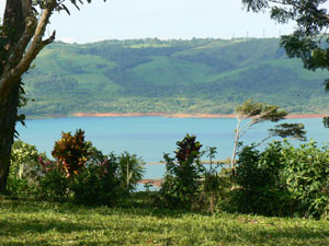 A lake view from Lot 3.