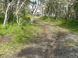 A road past the stable provides pleasant riding. 