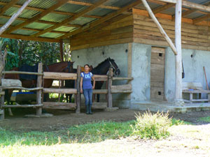 The stable and pasture are a short way above the lots.