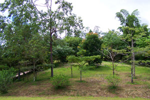 The property has some variety to it, here with treed knoll.