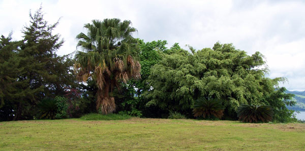 A bsis for great living - a large and flat building site, beautiful tropical fauna, and a lake view. 