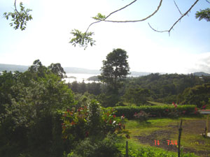 Landscaping along the edge of the property.