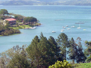 The marina is a neighborly size with a floating dock and a dozen moorage buoys.