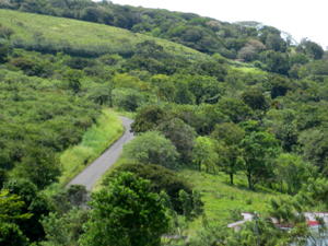 The lots are accessed from this country lane that rises from the village of San Luis to join another road on the hilltop. It's a second route to Tilaran. 