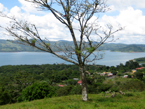 A tree on a pretty building site graces the view over the village of San LUis to Lake Arenal.