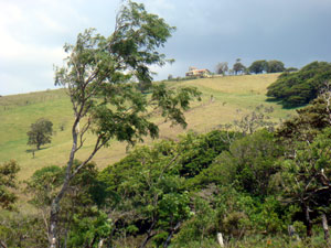 On the hilltop above the lots is a 3-story mansion.