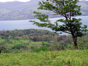 This very buildable lot has, typical of this former finca, beautiful views of the lake and surrounding area.