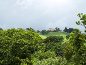 Behind the lot, the terrain rises through pasture and forest until finally reaching a 3-story house atop the hills.  