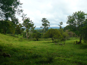 Beyond the central hill is a beautiful broad valley, which also is great location for one or more homes.