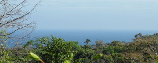 The property has great views of the Pacific Ocean and the Gulf of Nicoya.