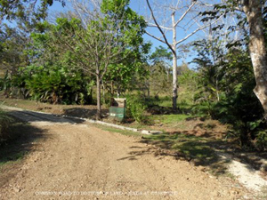 The lot is reached by a good short road from the main coastal road.