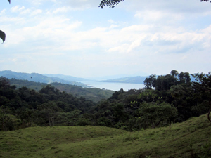 Two of the possible buiilding sites on the acreage.