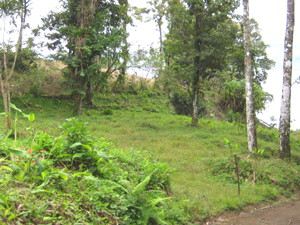 One of the bulding sites and its lake view.