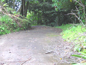 The paved road winds up through the lot to the level sites.