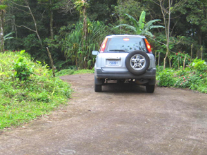 A paved road leads into the lot and uphil to its three building sites.