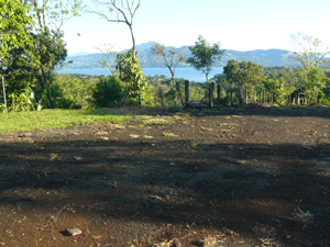 The lake view is still excellent from a spot much closer to the road.