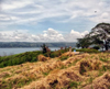 The 2 lots at Vistas del Lago have both lake and volcano views. 