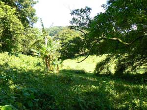 Lot for sale at Lake Arenal, Costa Rica