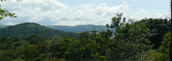 The large lot has interesting contours, a spring, a bordering river, and lake and volcano views.