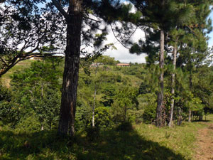 Looking back east from the hilltop building site, one can see several upscale homes on the bluff across the lake highway.