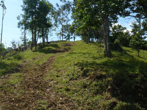 The easily accessed hilltop is a perfect place to build a house with great lake and volcano views.