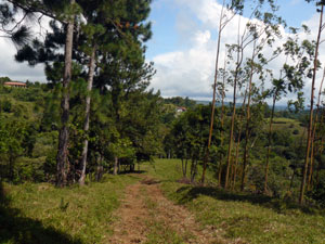 The curving internal road climbs to a hilltop in the northwest corner of the lot.