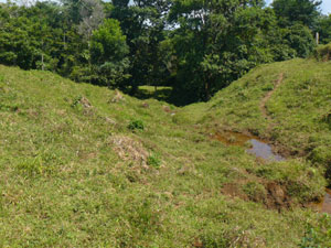 A year-round spring makes a small pool as it flows to the bordering river.