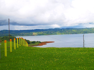 Below the lot and across the quiet lane serving the small farms on the peninsula, pastures descend to the water. 