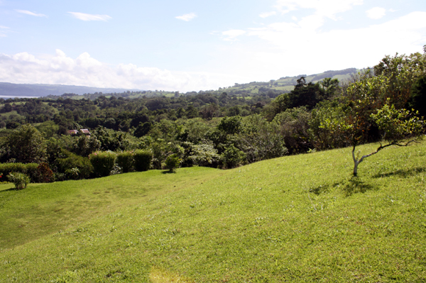 The The area features many indigenous and fruit trees, attracting a fascinating array of bird life from among Costa Rica's hundreds of species, including toucans, parrots, oropendolas, and dozens of smaller types. 