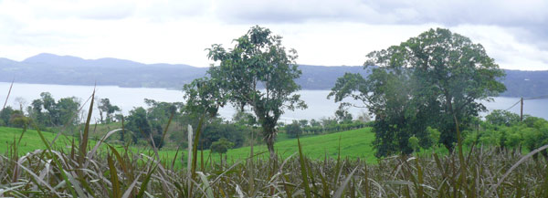 The whole site has lake views, with very wide views from a certain area.