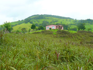 The closest neighbor is this house on the 223-acre property above the lot.