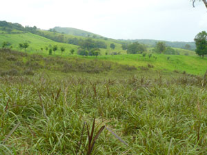 The 1.1-acre lot in triangular shape appears darker than surrounding properties in this photo. 