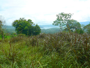 This view on a cloudy day is toward Arenal Volcano.