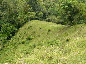 At the bottom of the lot the quebrada skirts this subsidiary spleftward part of the spine.