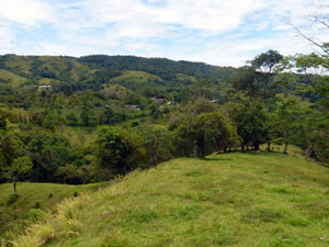 Down the center of the property runs this wide spine with choice of volcano-view building sites.