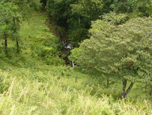 There a small waterfall in the quebrada. 