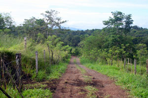 The main entrance into Parcelas Heights comes from the Parcellas village road.