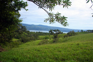 Some of the lots have Lake Arenal views. 