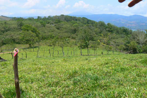 Some lots have a distant Lake Arenal view and a view of the Volcano Tenorio.