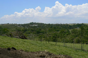 The village of Parcelas is visible through the trees. 