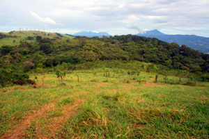 The dormant volcanos Tenorio and Miravalles as well as La Vieja can be seen from these lots. 